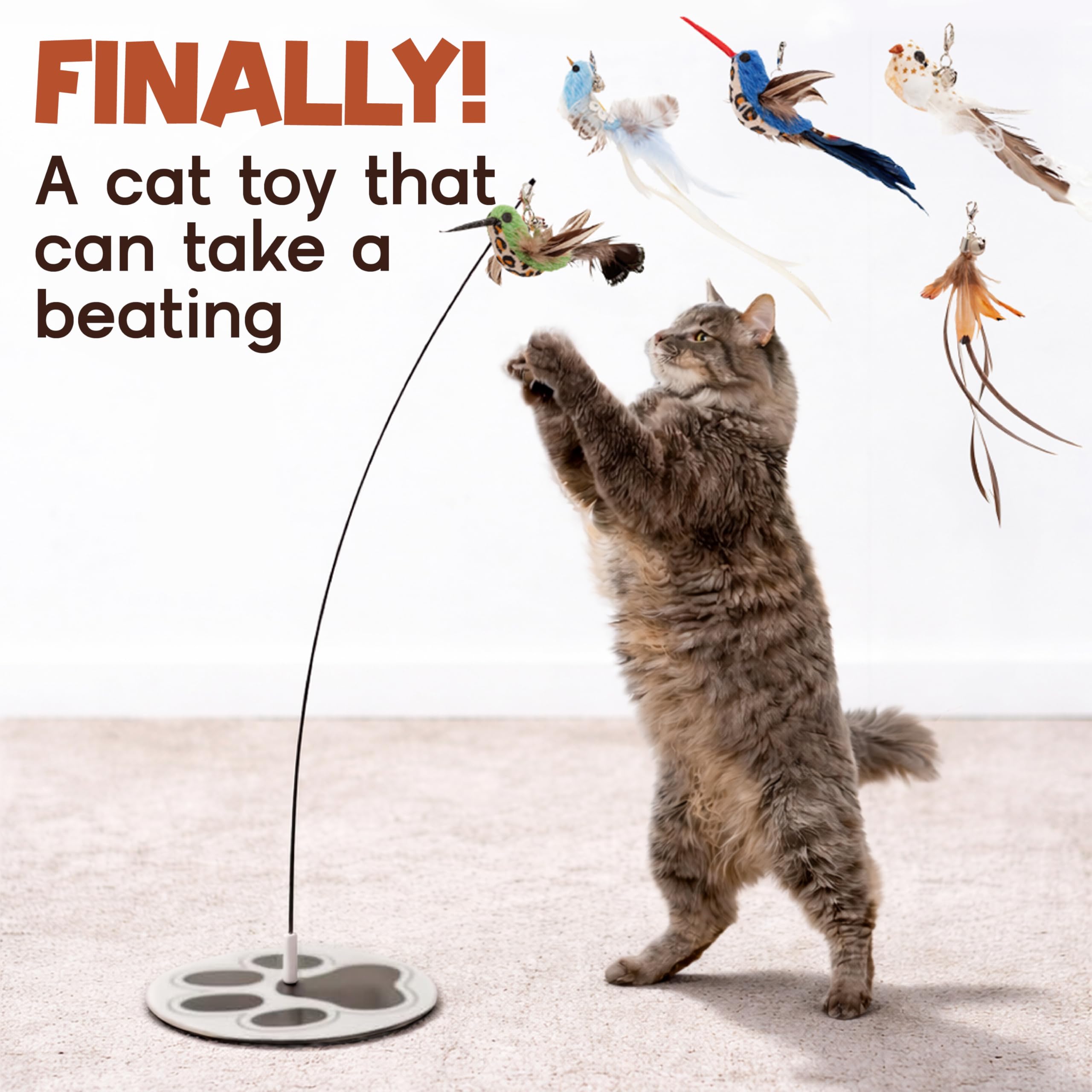 GADGETSOLOGY self-play cat toy encourages exercise and mental engagement.
