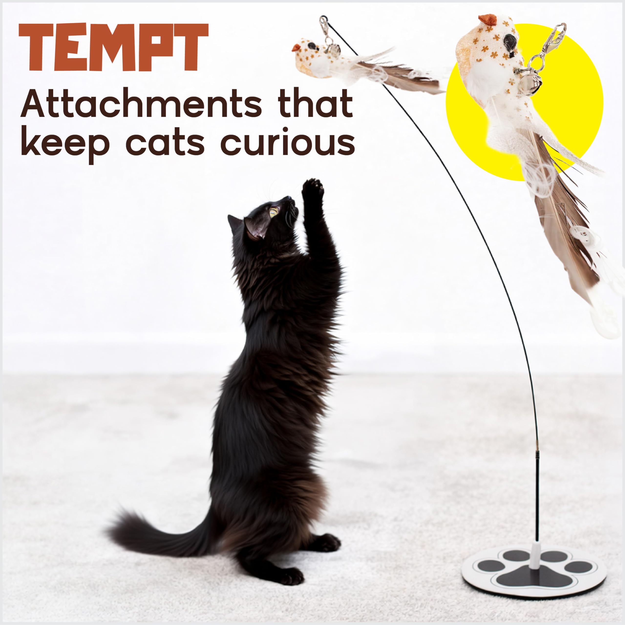 GADGETSOLOGY suction cup cat toy mount stays reachable on smooth surfaces.