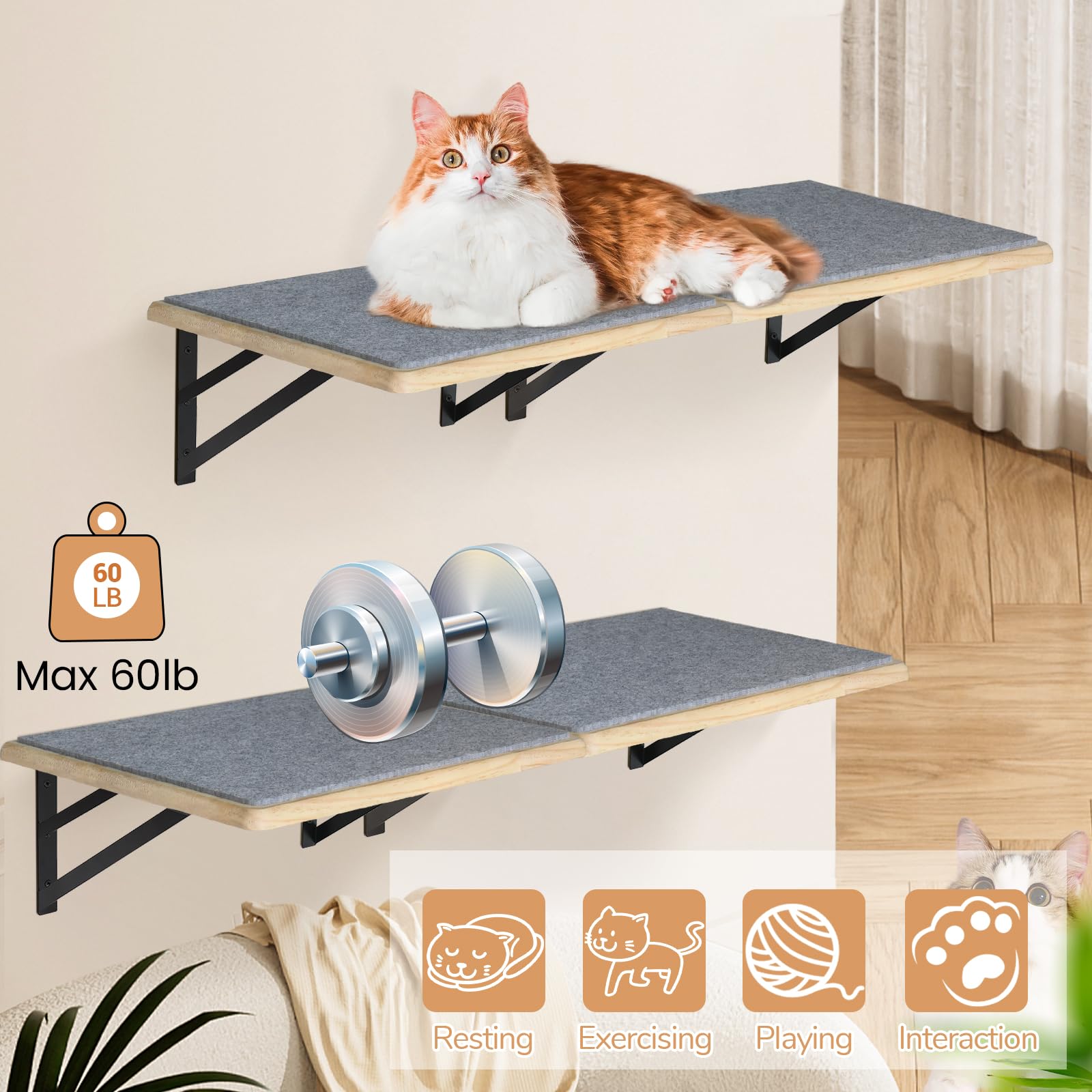 GADKE Burlywood cat shelves easy installation with clear hardware.