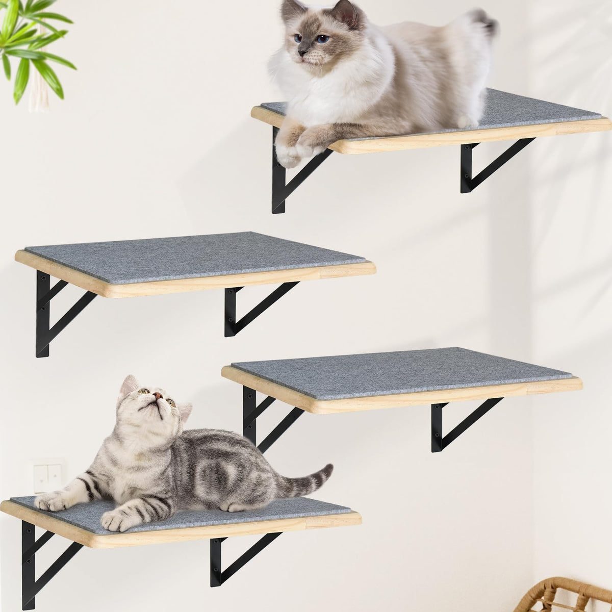 GADKE Burlywood cat shelves wall perch for safe vertical climbing.