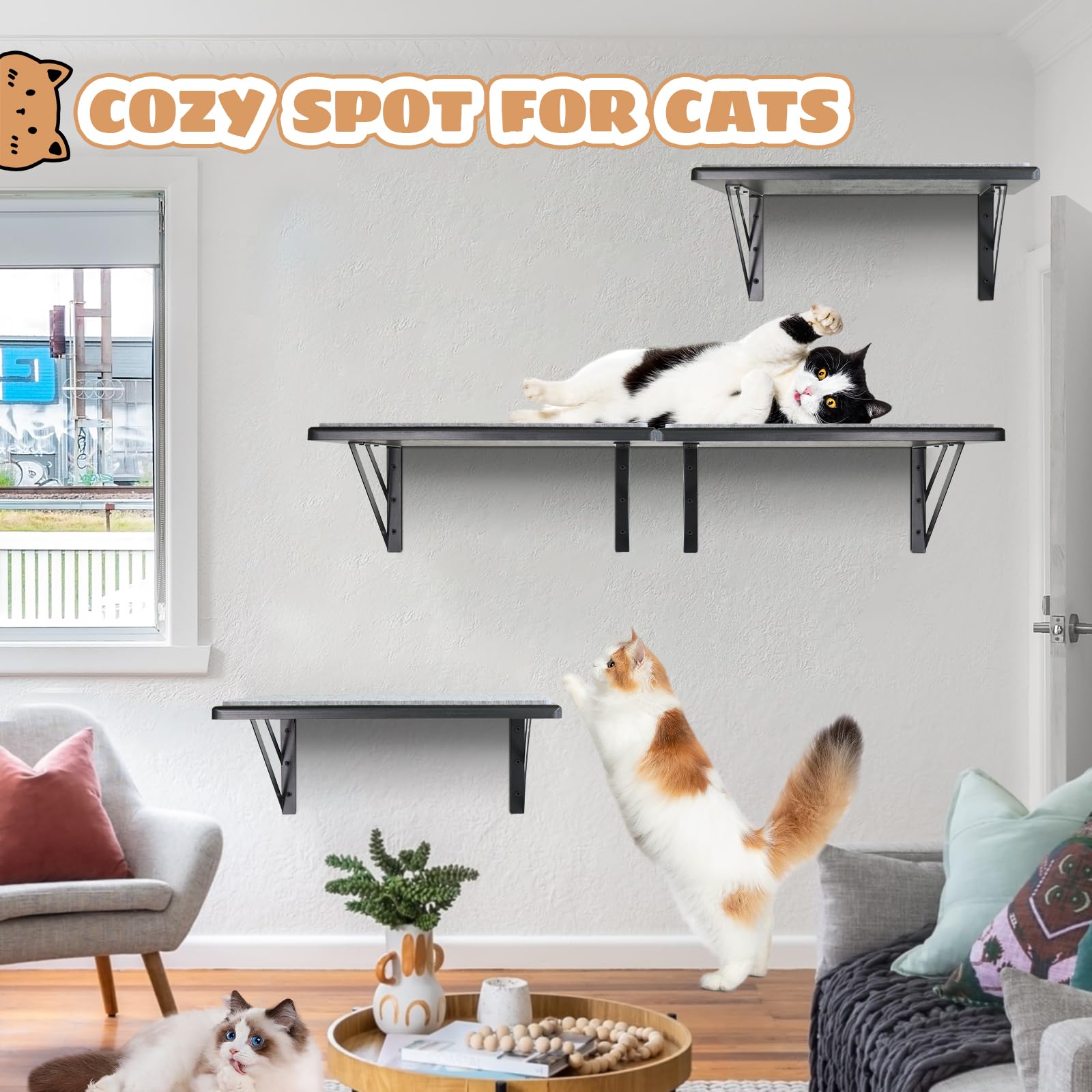 GADKE modern-decor cat shelves blend with any room while giving cats personal space