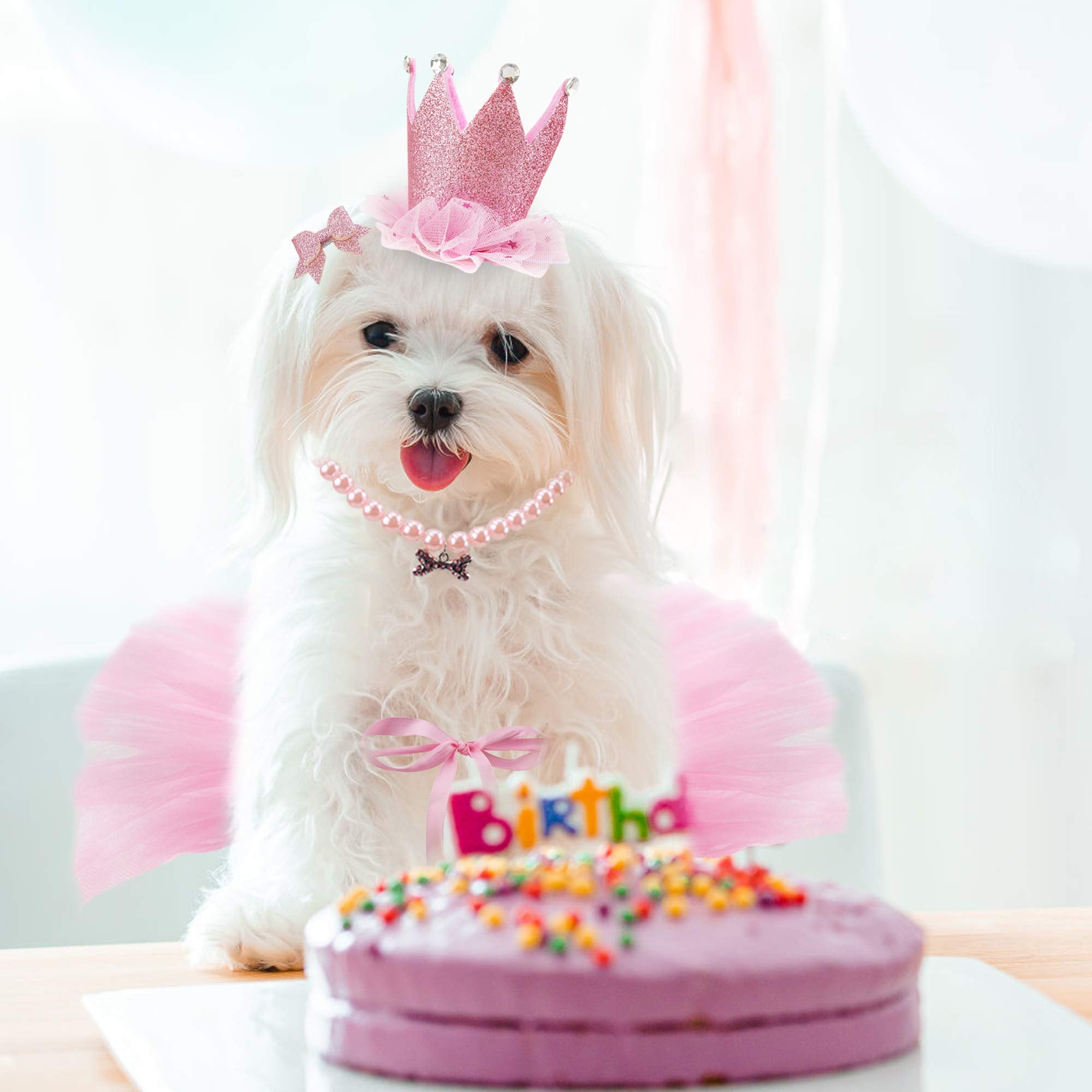 GAGILAND dog party supplies bundle for stylish festivities