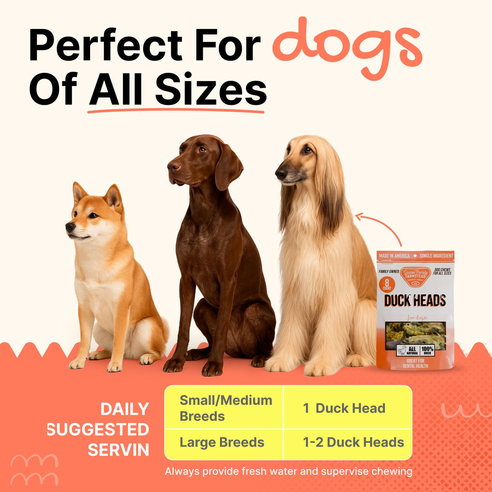 Gaines duck heads ideal for teething puppies.