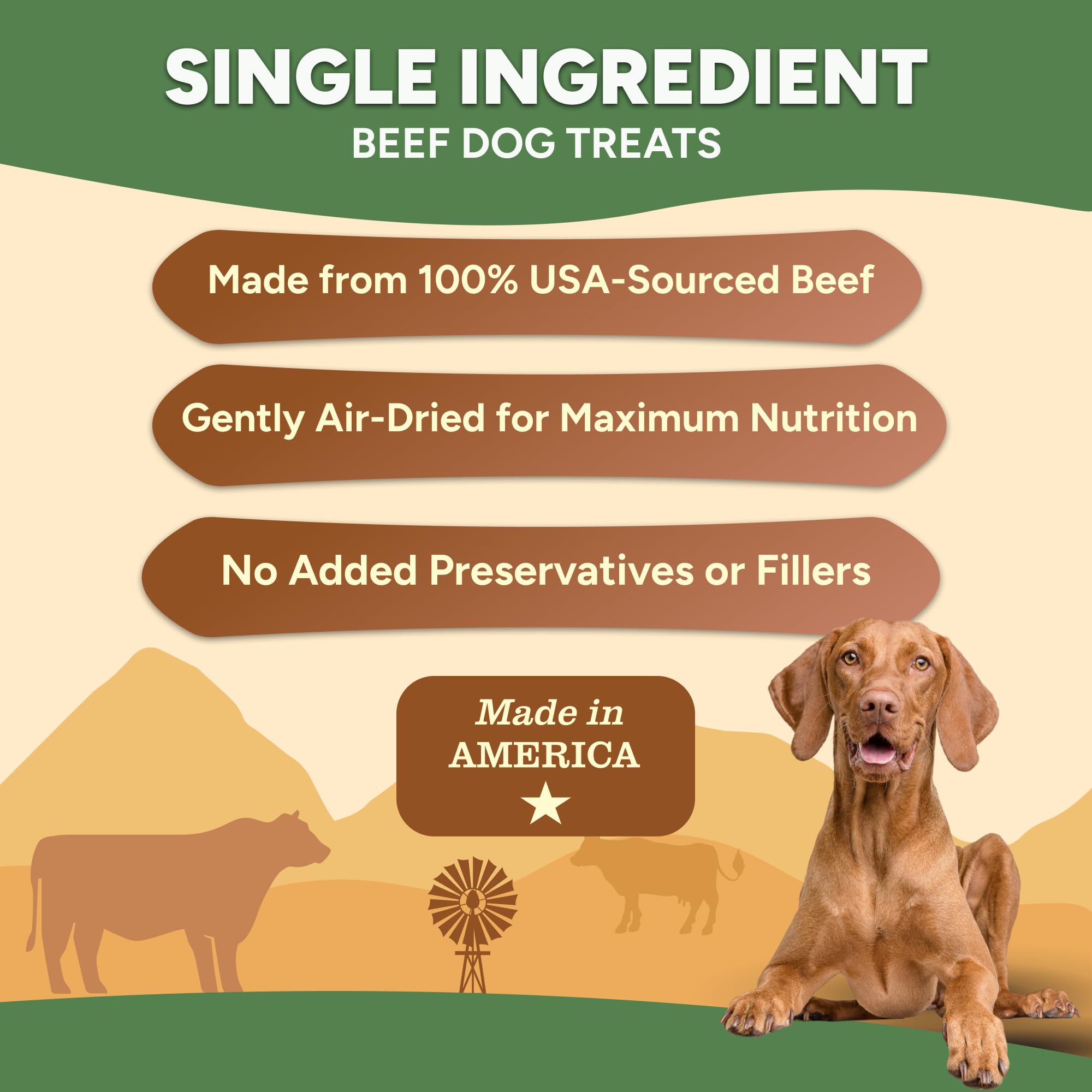 Gaines Family Farmstead Beef Chips bag on counter highlights USA-made origin
