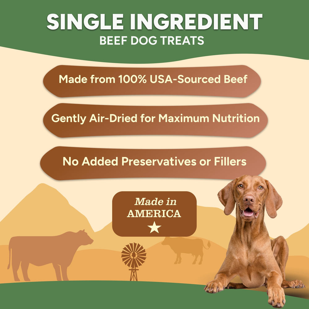 Gaines Family Farmstead Beef Chips bag on counter highlights USA-made origin