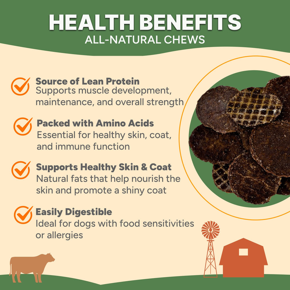 Dog chewing Gaines Family Farmstead Beef Chips, easy-to-break snack