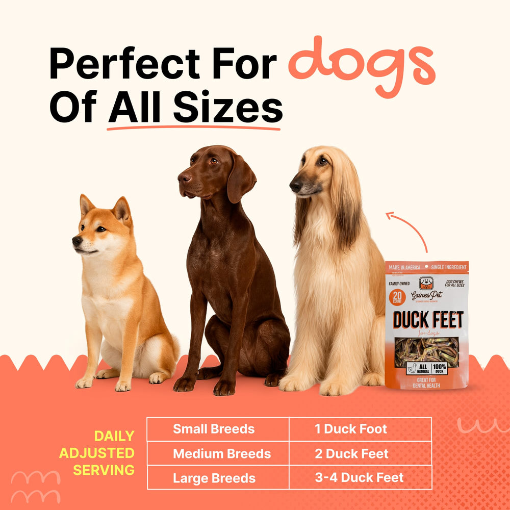Training reward duck feet chew by Gaines Family Farmstead