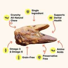 Puppy enjoying Gaines duck head treat—gentle, digestible snack.
