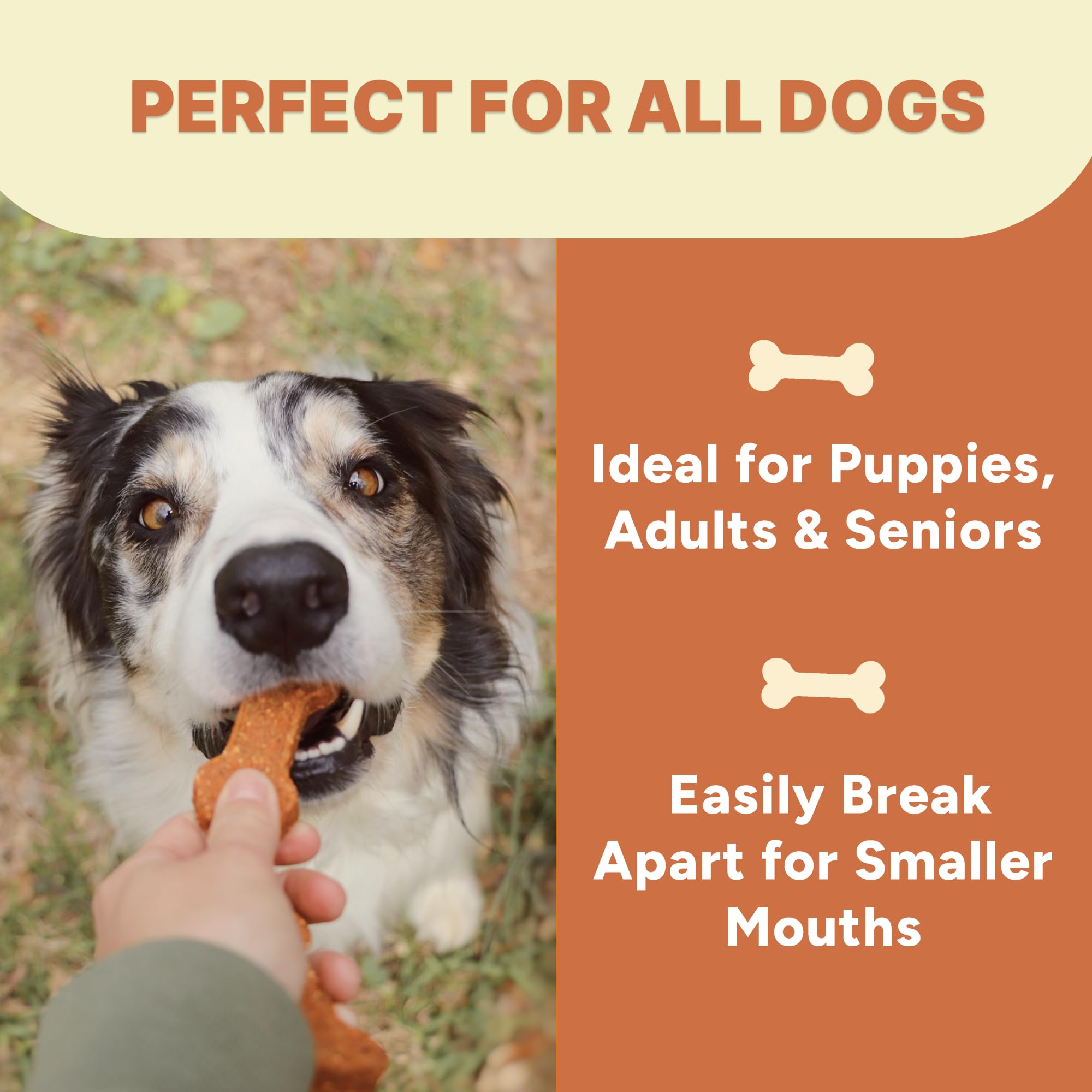 Gaines Family Farmstead high-fiber snack promotes healthy digestion.
