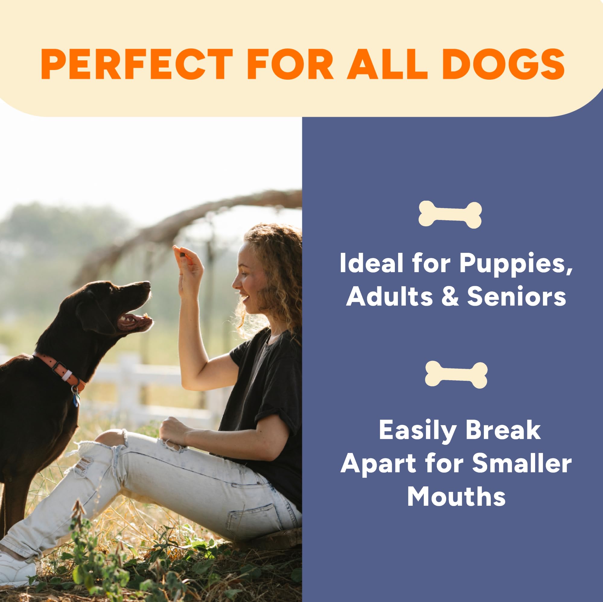 Gaines Family Farmstead Skin Coat Support Dog Treats with beta-carotene.