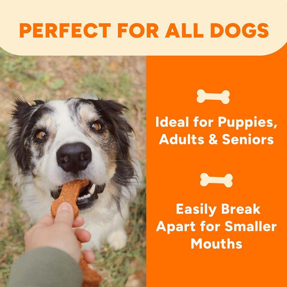 Gaines Family Farmstead Sweet Potato Dog Bones serving as a tasty training reward