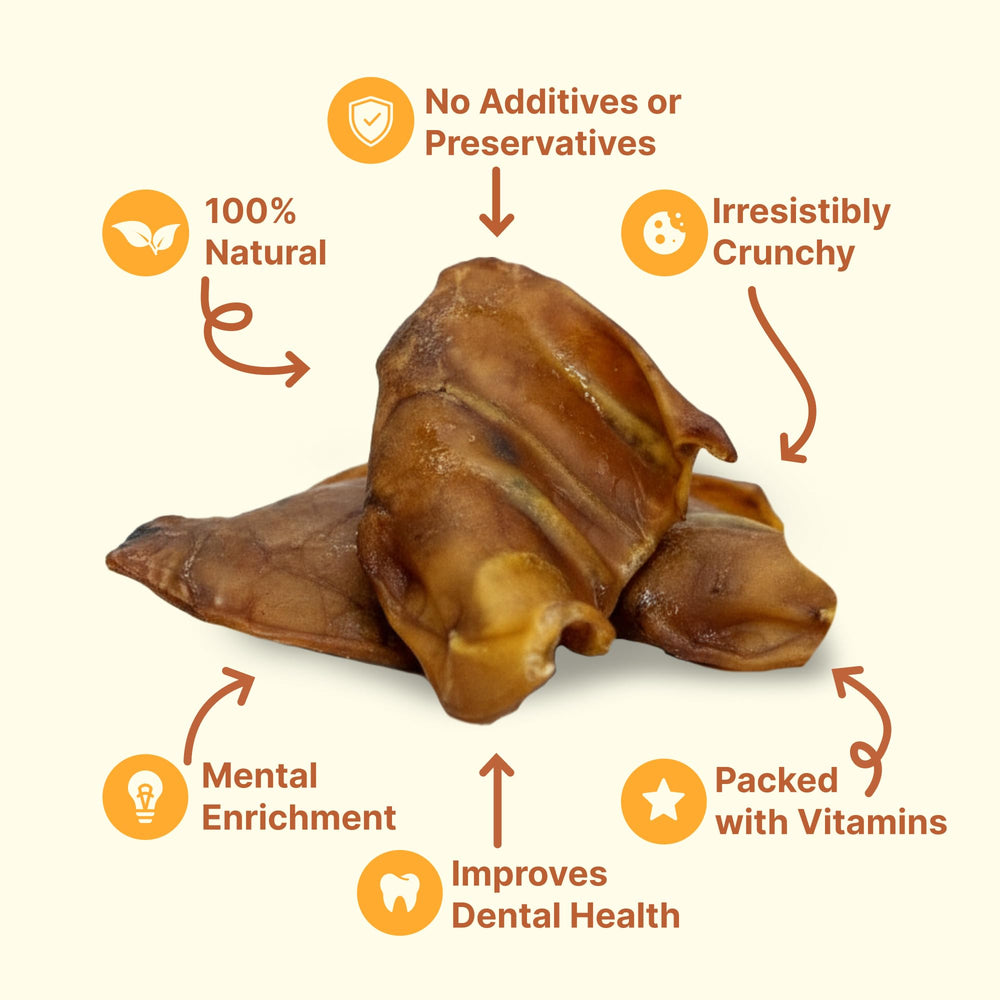 GAINES Pig Ears aid dental health through chewing action.