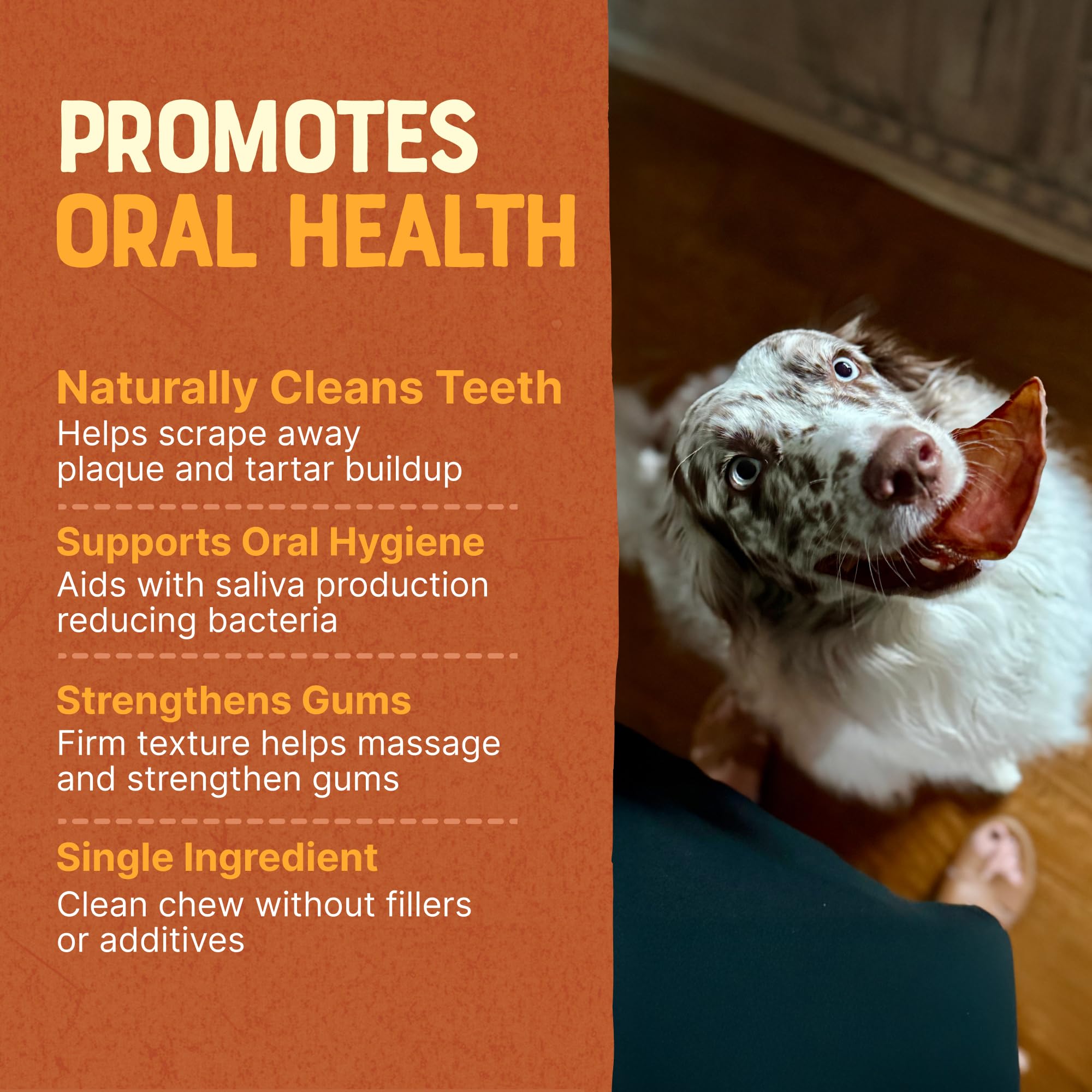 GAINES Pig Ears are high-protein, grain-free treats for dogs.