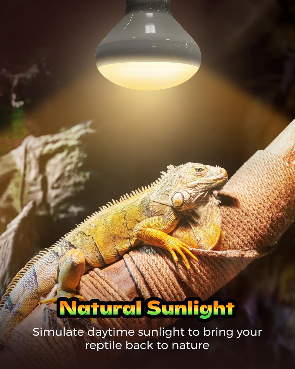 GAJUX reptile heat lamp shown on an E26 base for easy setup.