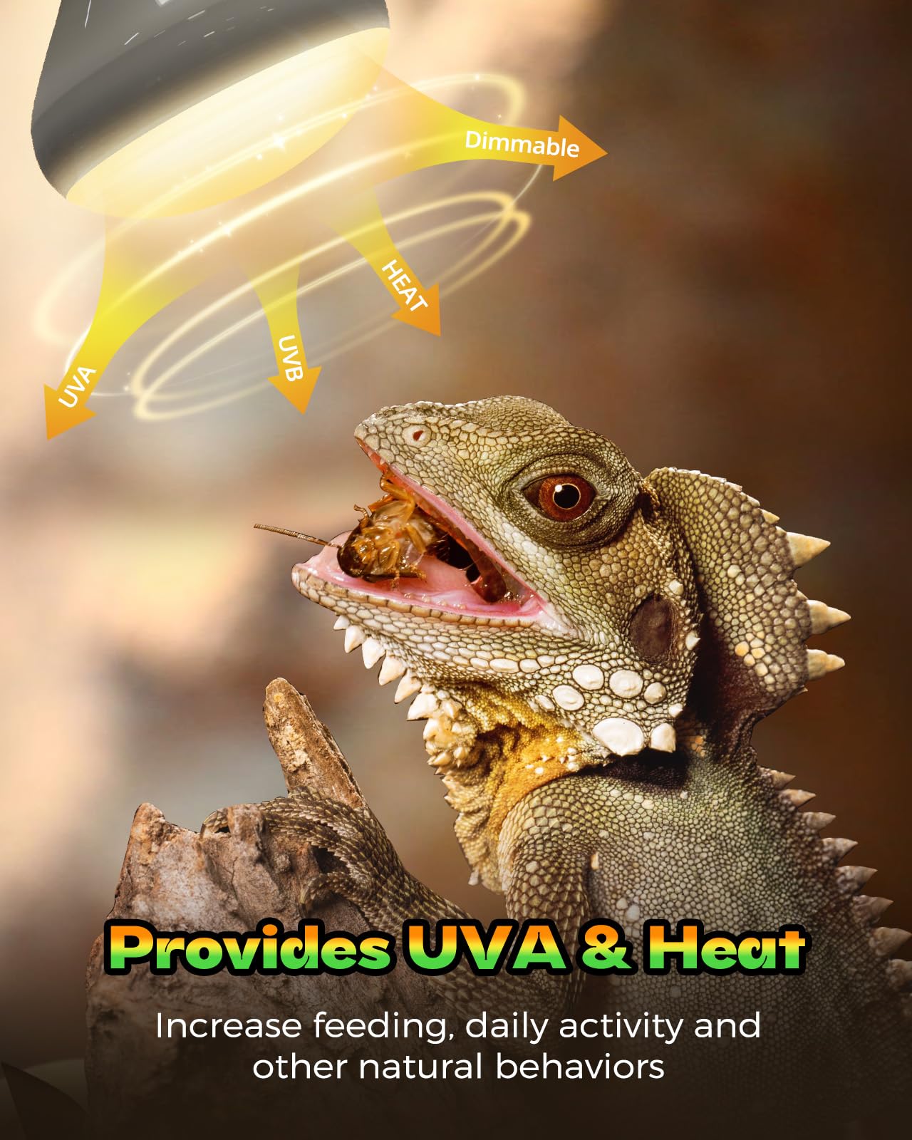 GAJUX reptile heat lamp emits UVA daylight for natural behaviors.