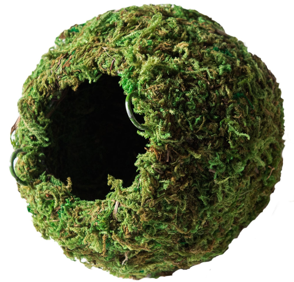 Galapagos Mossy Cave Hide 6-inch green corner retreat for terrariums.