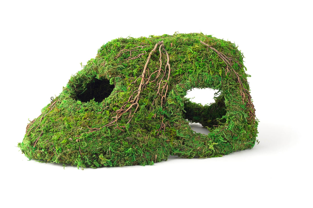 Galapagos Sapa Corner Hide front view with multiple openings for easy access.