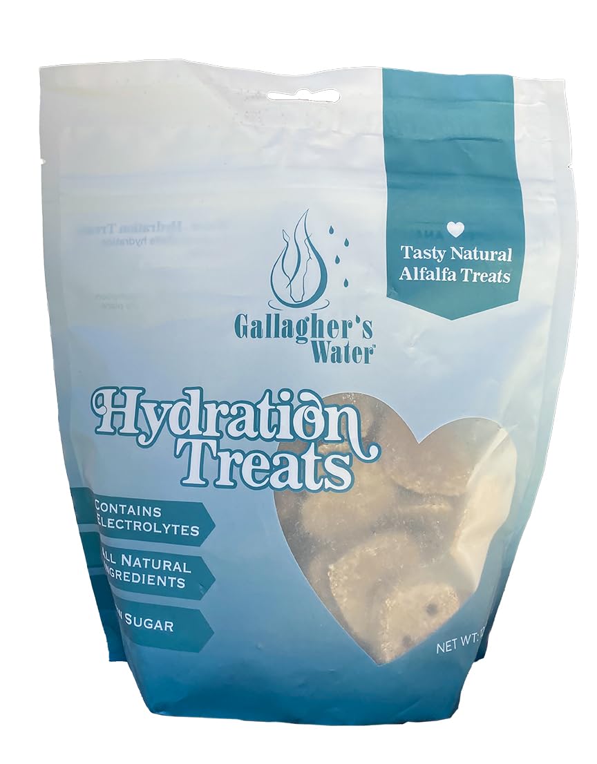 GALLAGHER'S WATER heart-shaped hydration treats for horses, tasty and low sugar for daily rewards