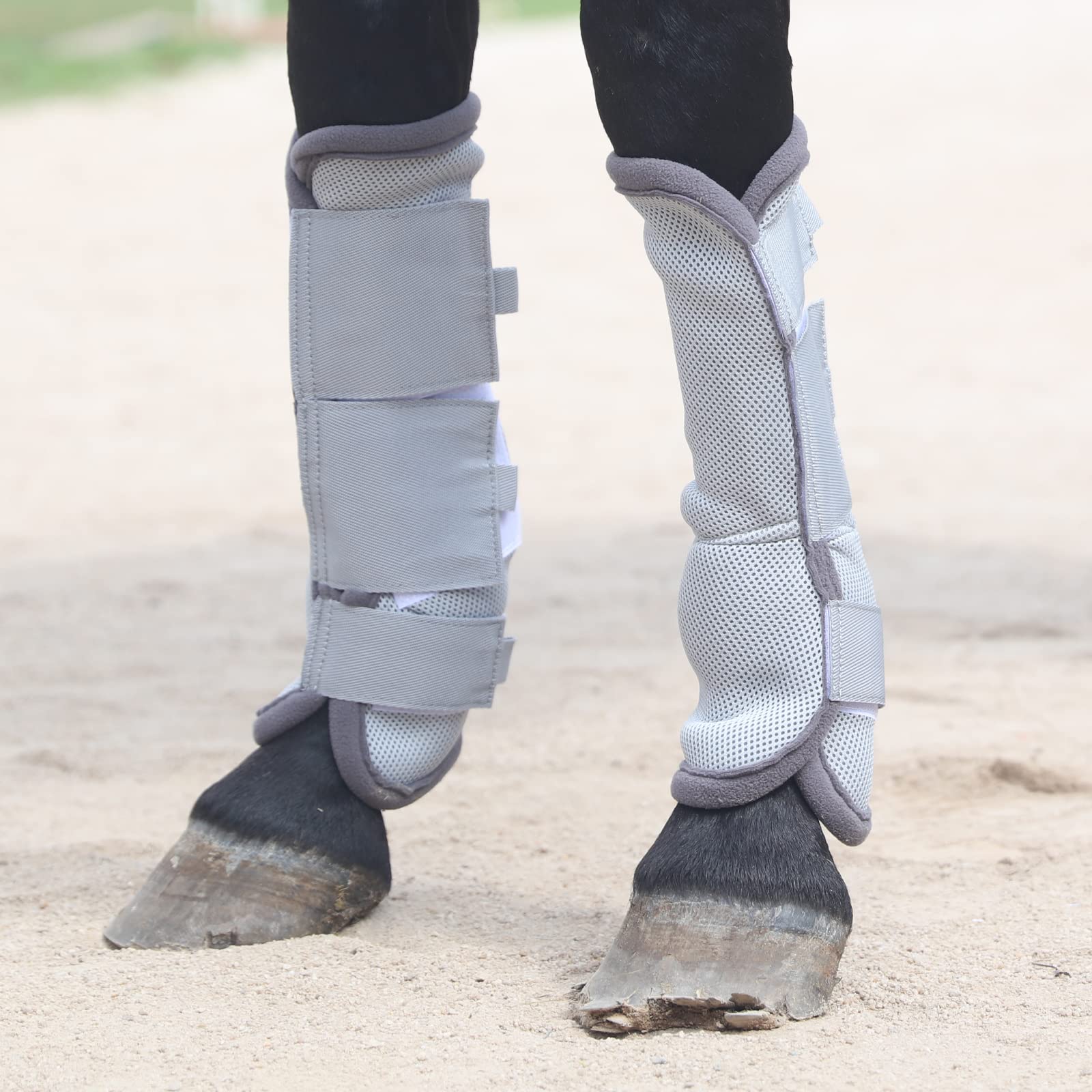 Gallopoff Fly Boots pack-4 offers four boots for multiple horses