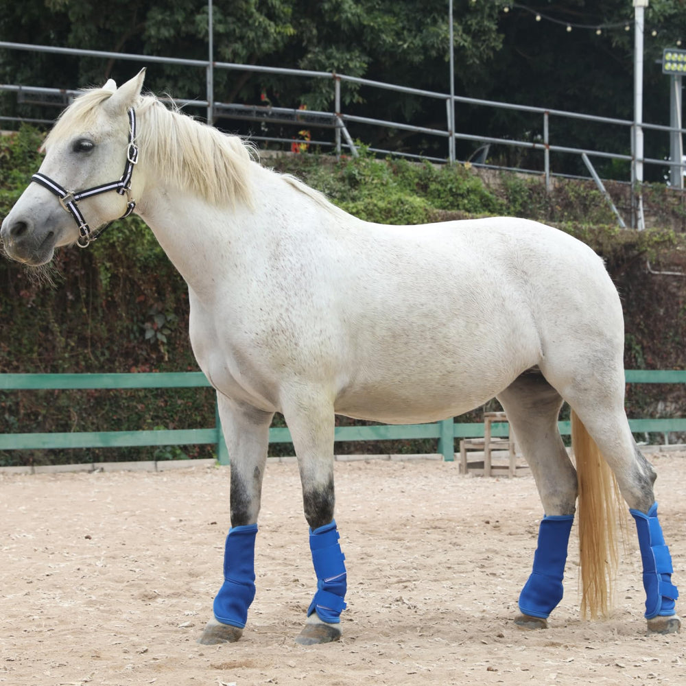 Gallopoff horse fly boots darkblue-design blends style with function.