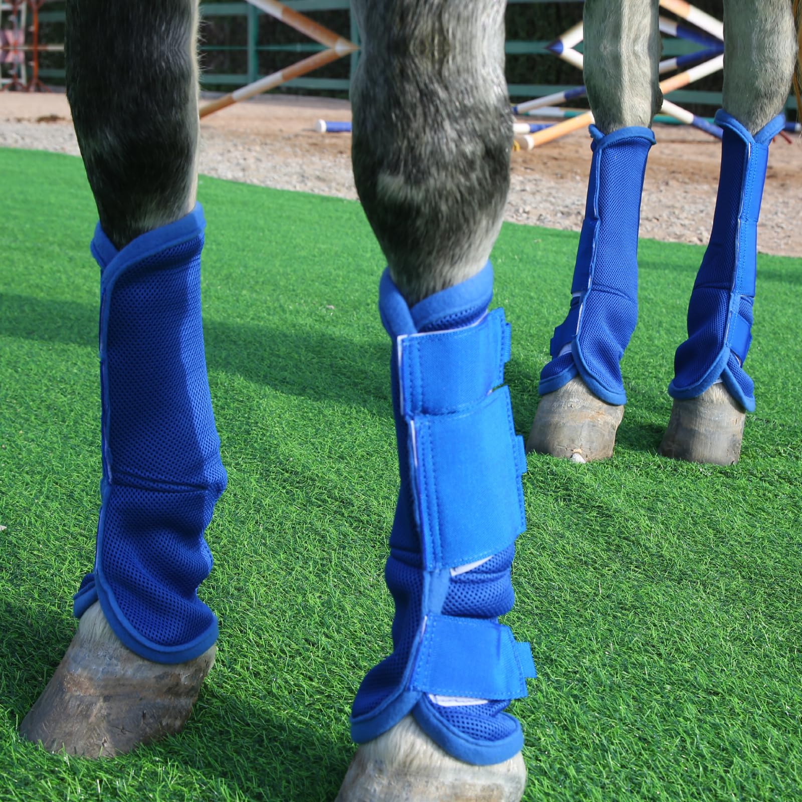Gallopoff horse fly boots pasture-use ideal for field or stable wear.