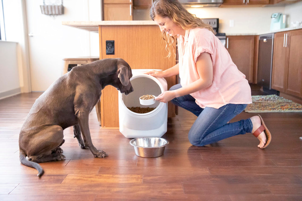 Gamma2 Vittles Vault storage supports bulk kibble and cereals.