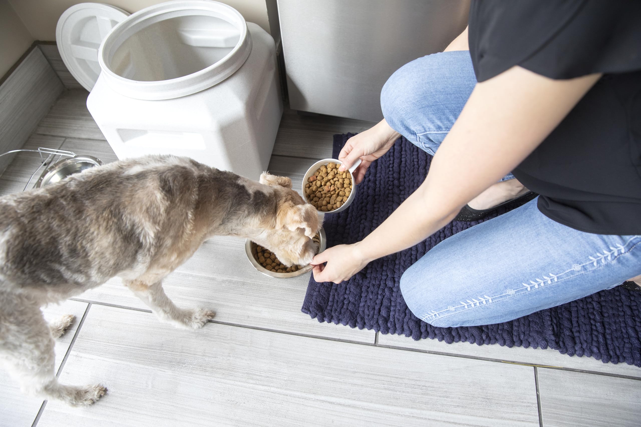 Gamma2 Vittles Vault BPA-free plastic highlights safe, durable material.