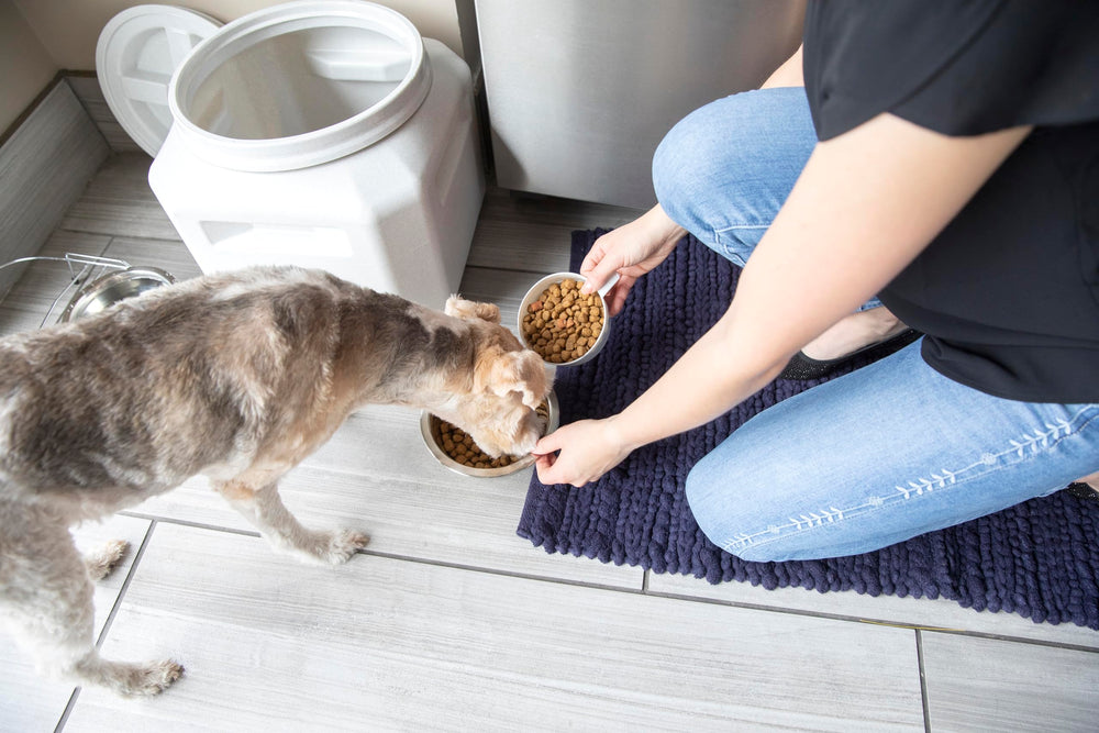 Gamma2 Vittles Vault BPA-free plastic highlights safe, durable material.