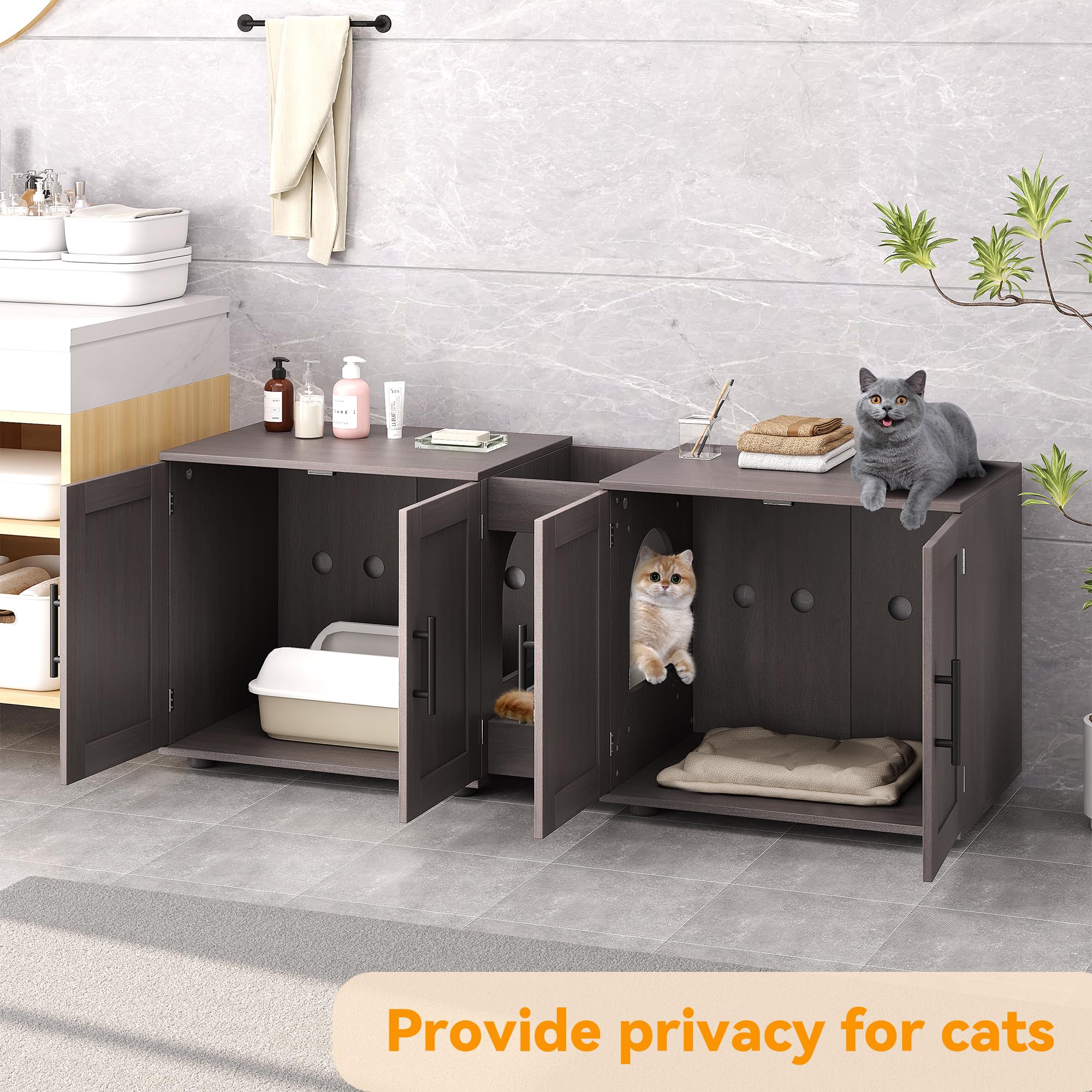 GAOMON enclosure used as two-cat space, privacy and cleanliness
