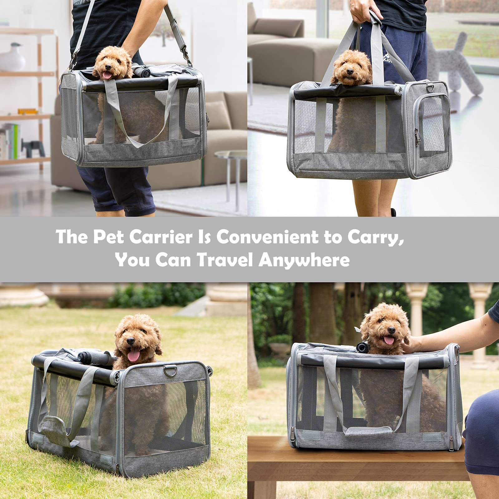 GAPZER privacy blinds offer a calm space when your pet needs downtime.