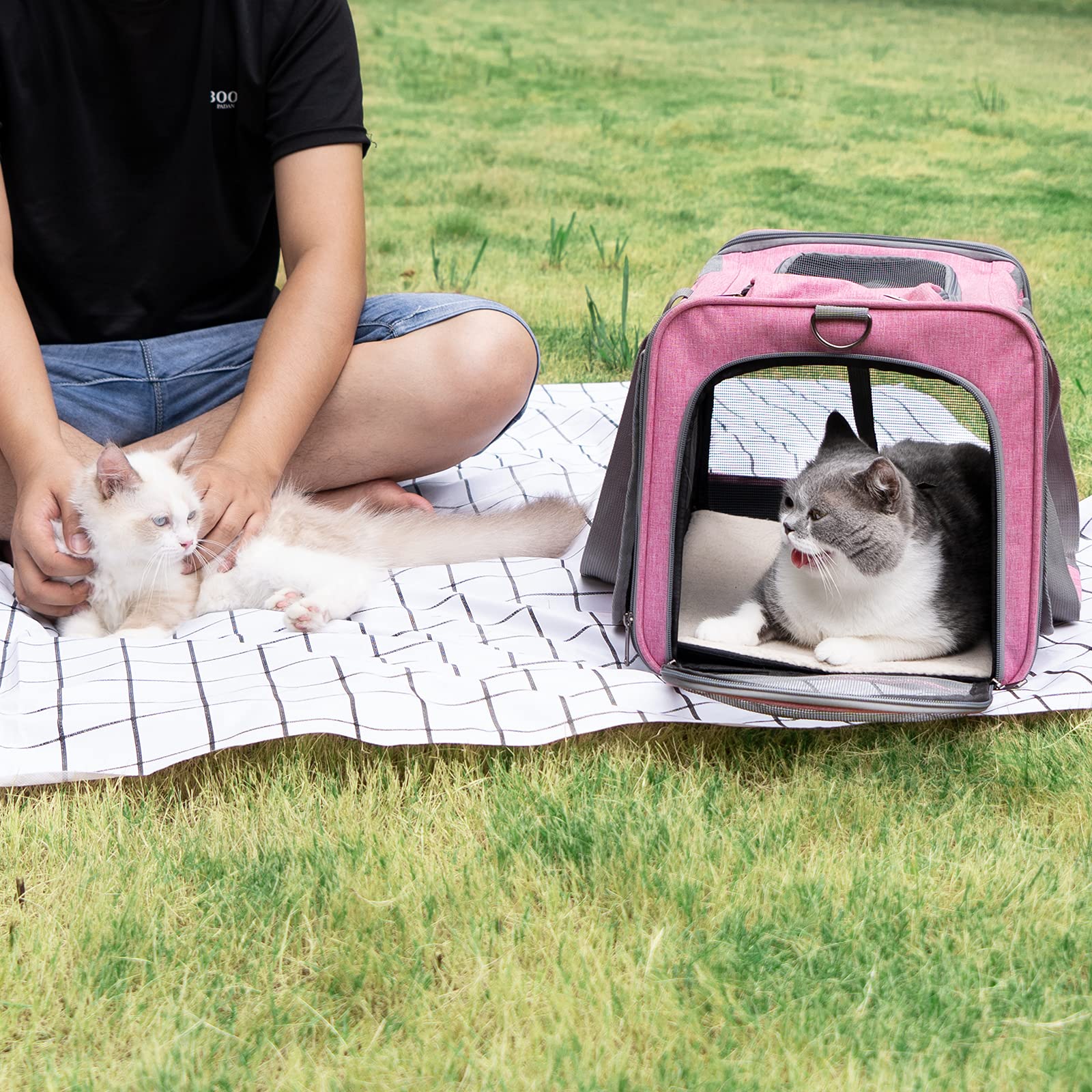 GAPZER cat carrier private mesh around exterior enables airflow.