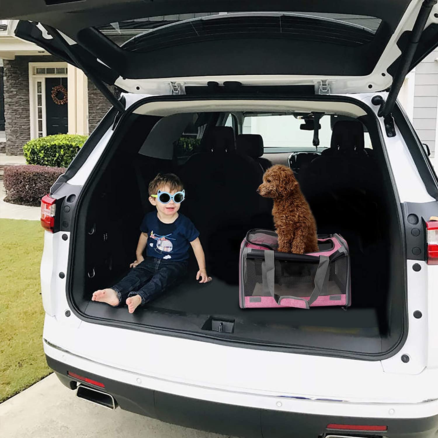 GAPZER cat carrier top-entry design for convenient access.
