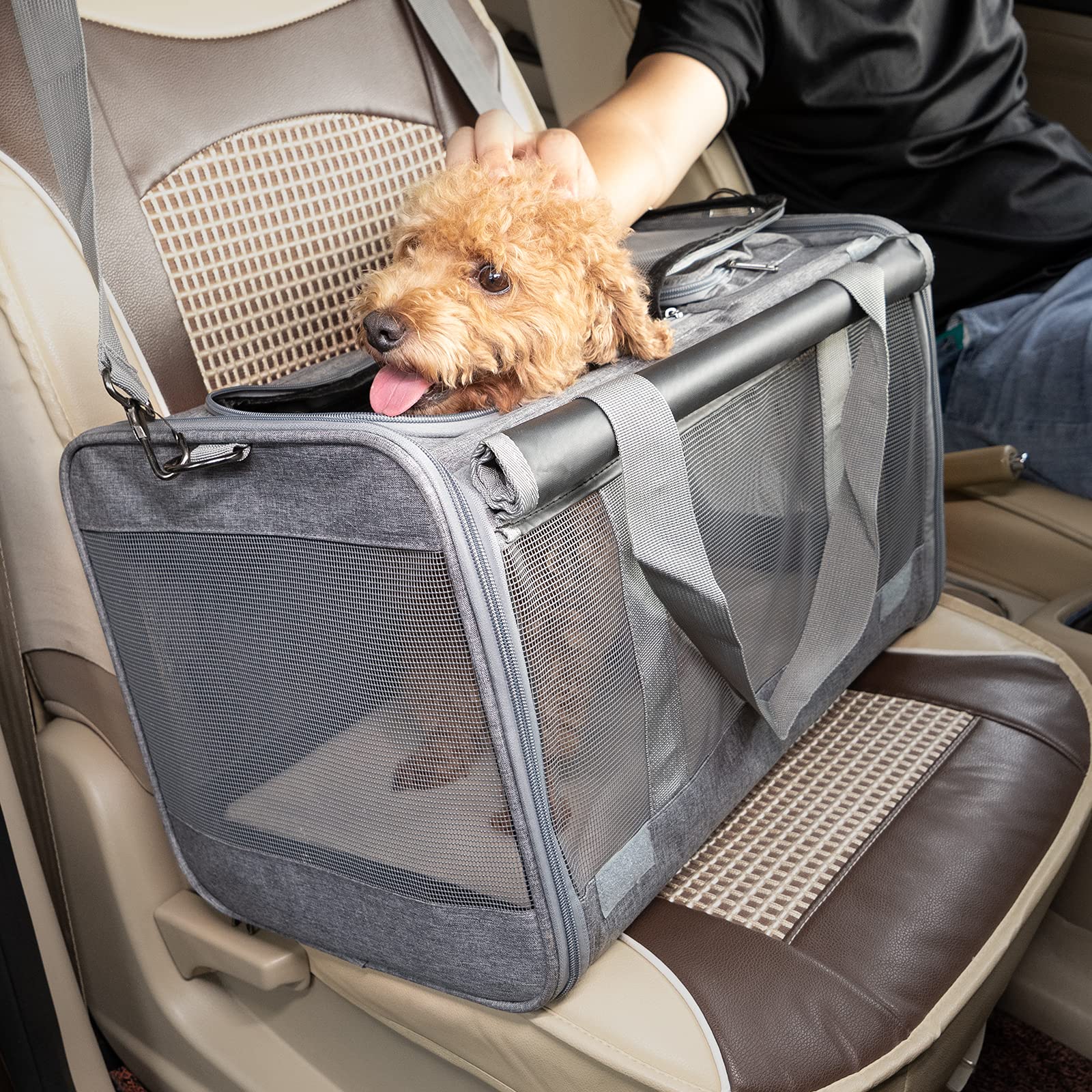 GAPZER travel-ready carrier supports home trips and vet visits.