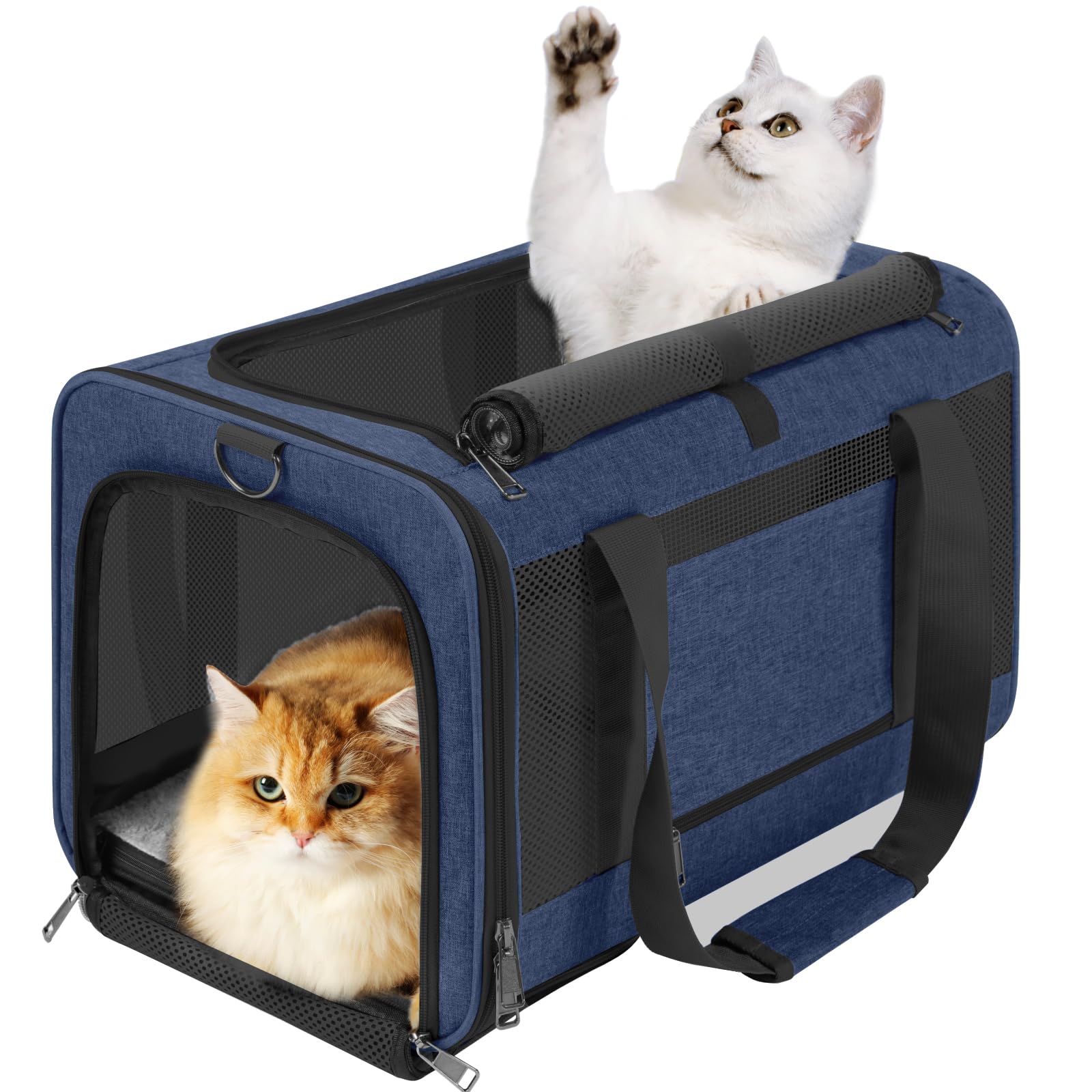 Gapzer soft-sided navy carrier, top view, ventilated and portable for travel.