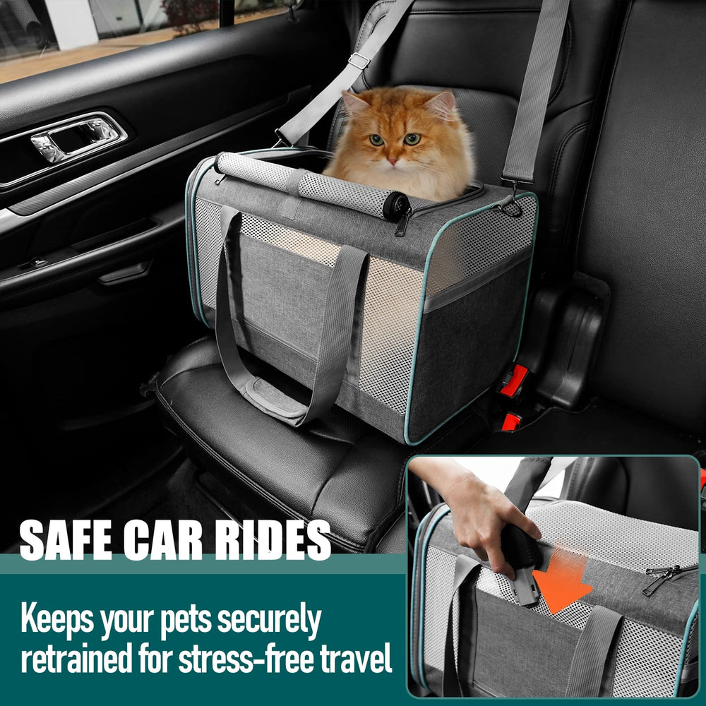 GAPZER pet carrier auto-locking zippers and inner tether boost security