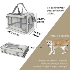 GAPZER large cat carrier side-entry view for easy loading during trips.