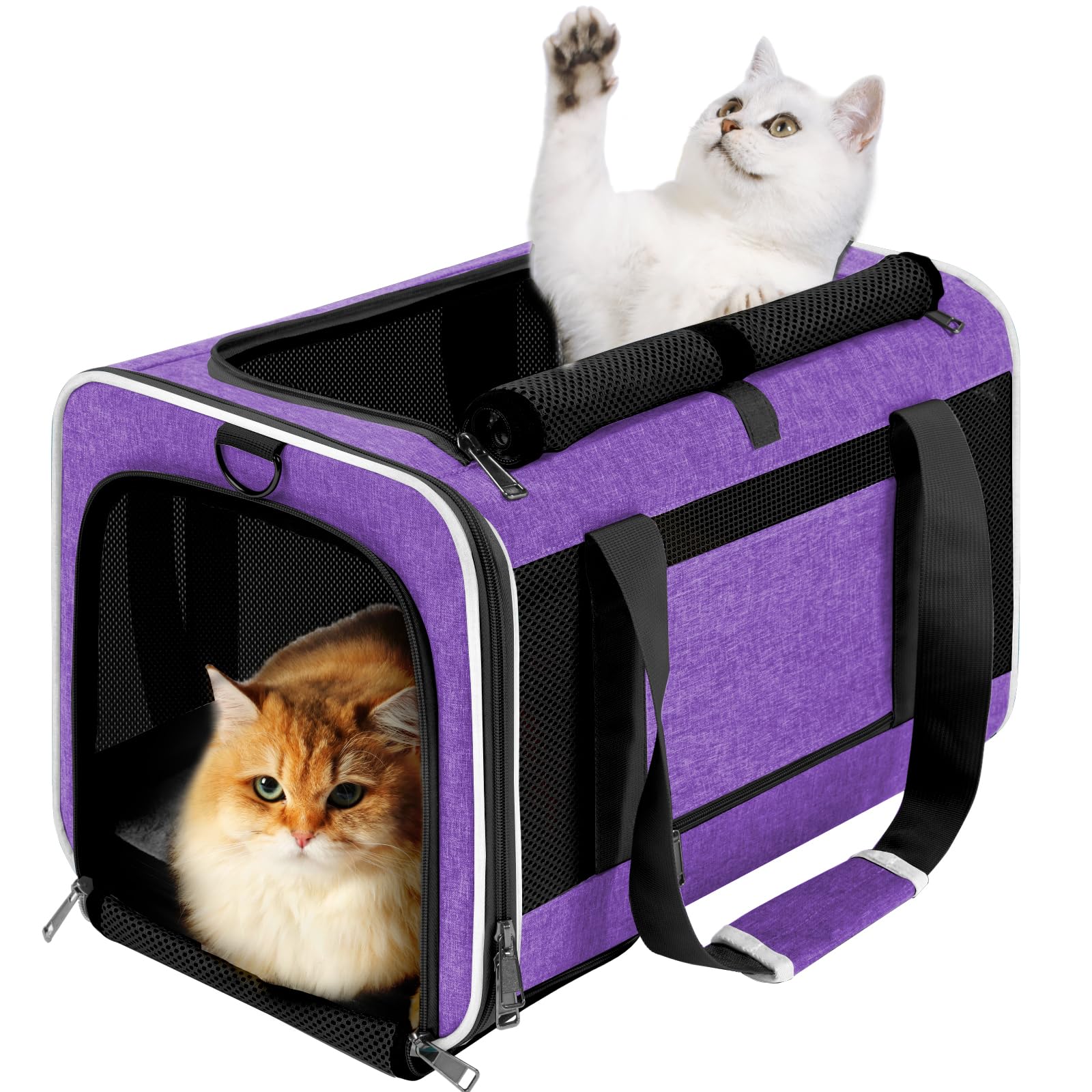 GAPZER pet carrier large-cat top-load entrance for easy loading during travel