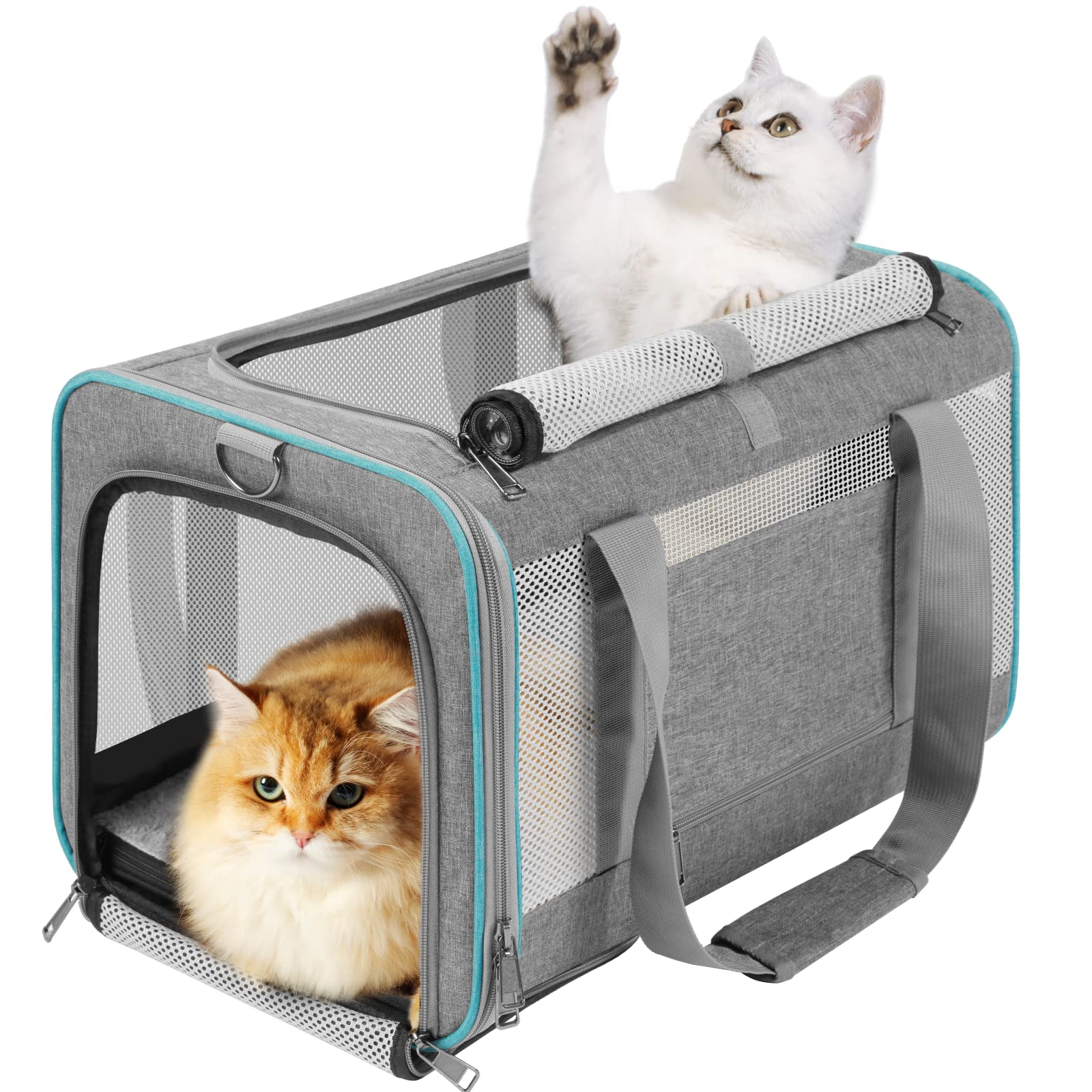 GAPZER pet carrier large cat top load access for easy loading during travel