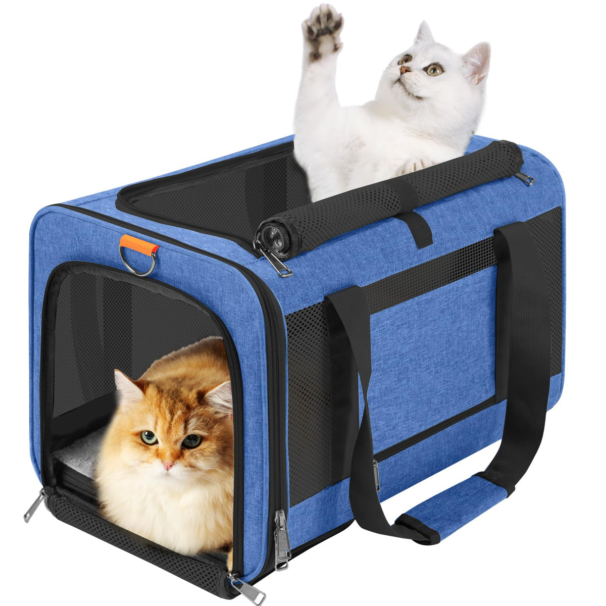 GAPZER pet carrier exterior in blue, spacious top-load entry for easy loading.