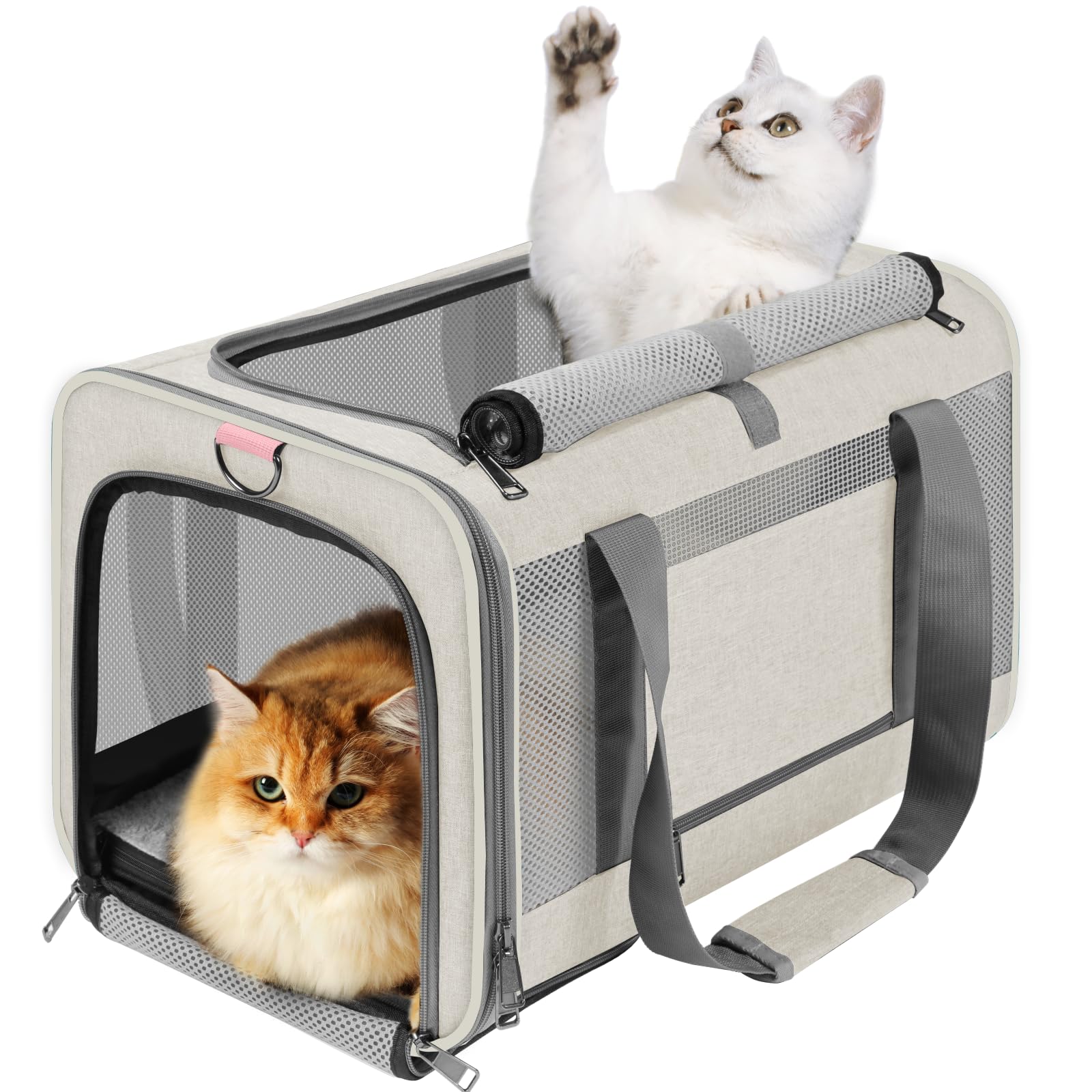 Gapzer pet carrier top load design for easy loading on trips