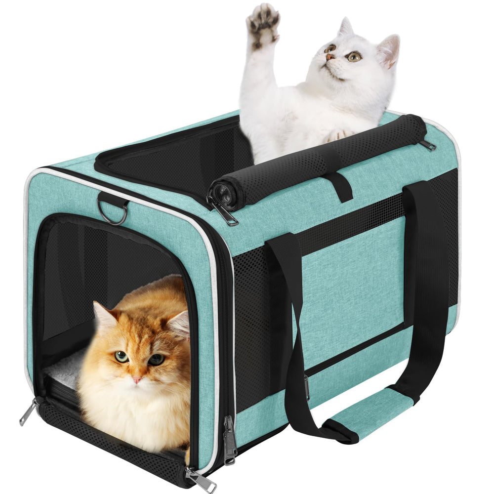 GAPZER Soft Cat Carrier teal front view showing easy access for travel