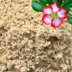 GardenWise Fine Sand pours into a pot, improving aeration for healthier roots.