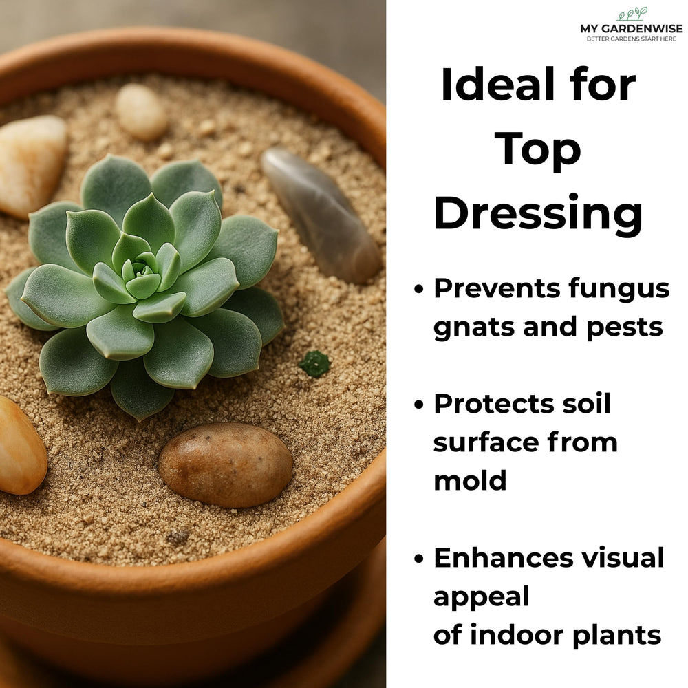 GardenWise Fine Sand surrounds succulents to prevent overwatering and root rot.