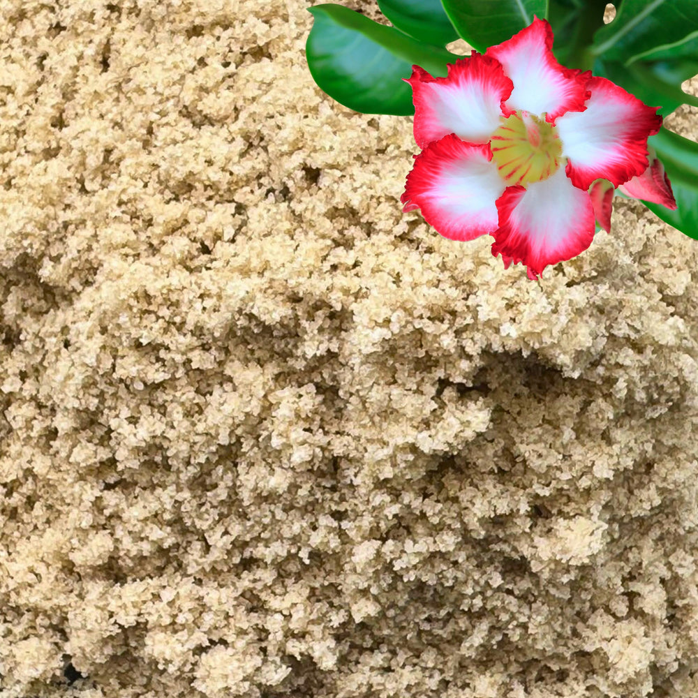 GardenWise sand for plants in a potting mix improves drainage and root health.