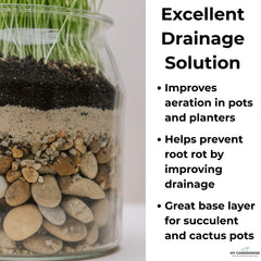 GardenWise sand used as top-dressing enhances aesthetic finish in planters and terrariums.