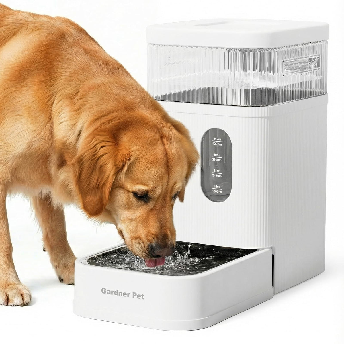 Gardner Pet 2.2-gallon water bowl dispenser with gravity-fed system for stable hydration.