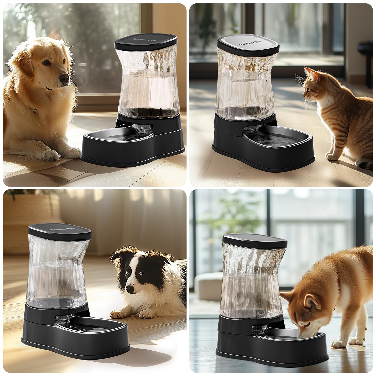 Gardner Pet transparent tank makes monitoring water level effortless.