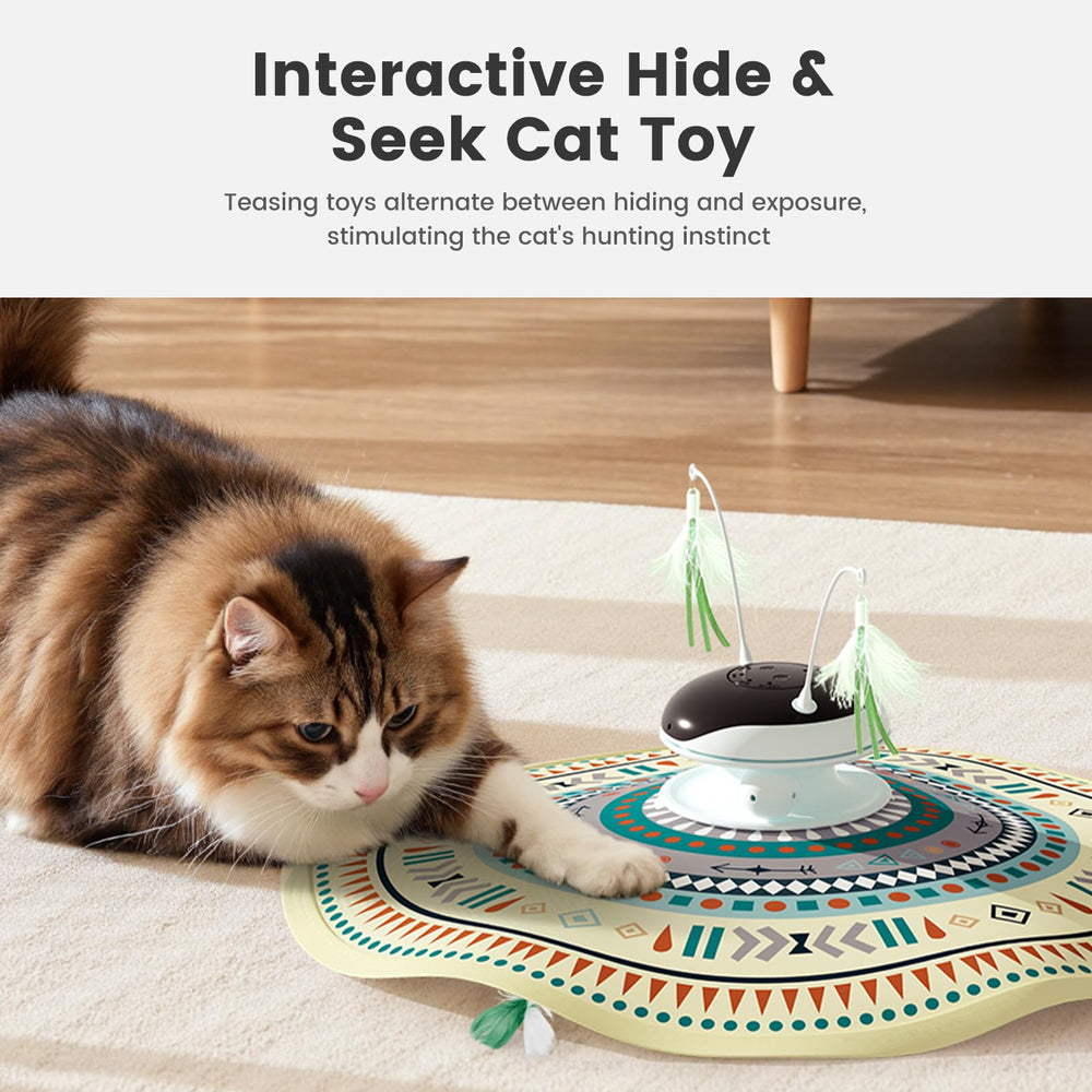 Gardner Pet track-balls encourage pursuit and daily exercise.
