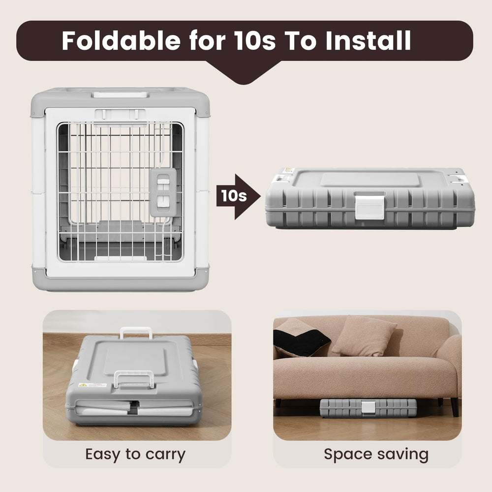 Gardner Pet interior space shows a comfy area for medium and small dogs indoors