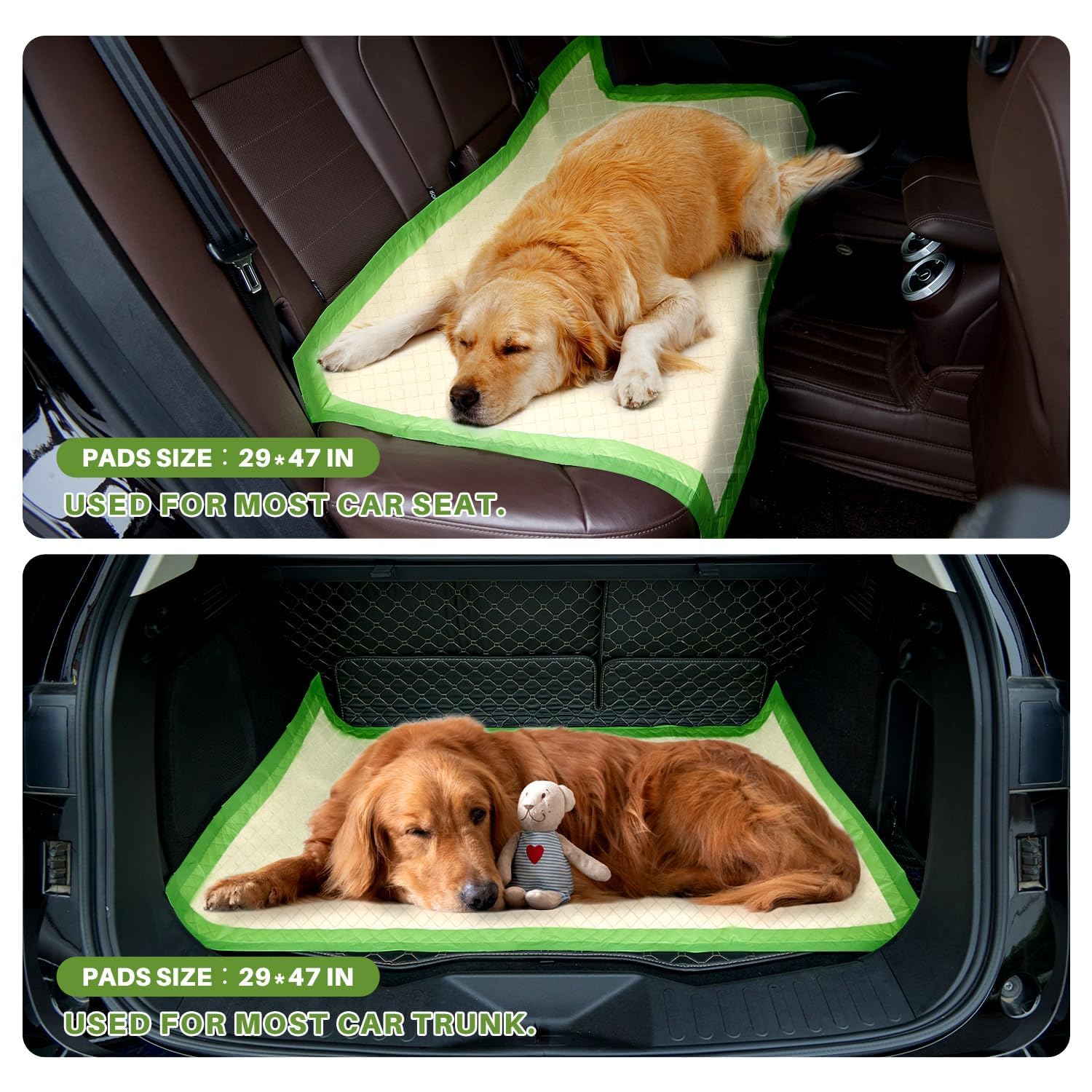 Gardner Pet extra-large pad covers large areas effectively